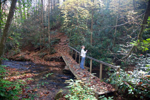 Rockhouse Falls - Bridge Over Stream