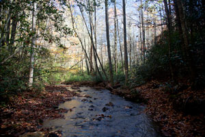 Rockhouse Falls - Bridge Over Stream