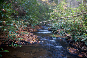 Rockhouse Falls - Bridge Over Stream