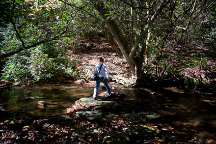 Rockhouse Falls - Crossing Stream