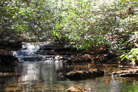 Rockhouse Falls - Crossing Stream