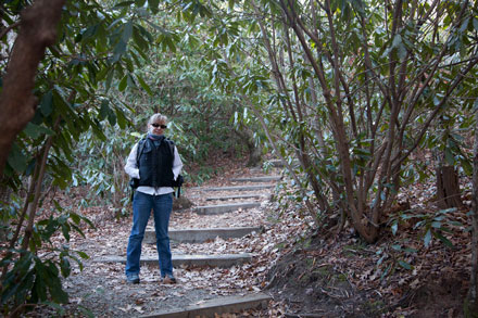 Whiteside Mountain Trail