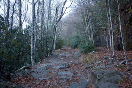 Whiteside Mountain Trail