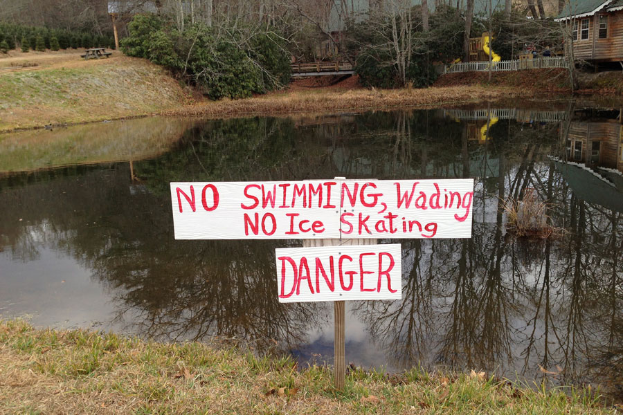 Tom Sawyer Tree Farm Pond