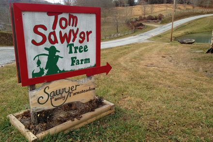 Tom Sawyer Tree Farm Sign