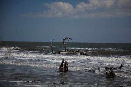 Boneyard Beach, Bull's Island