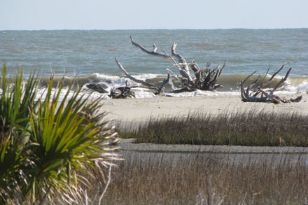 Boneyard Beach, Bull's Island