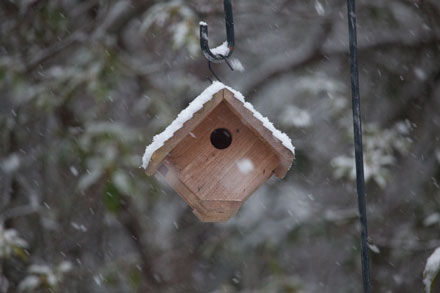 Bird House In Snow, Sapphire, NC