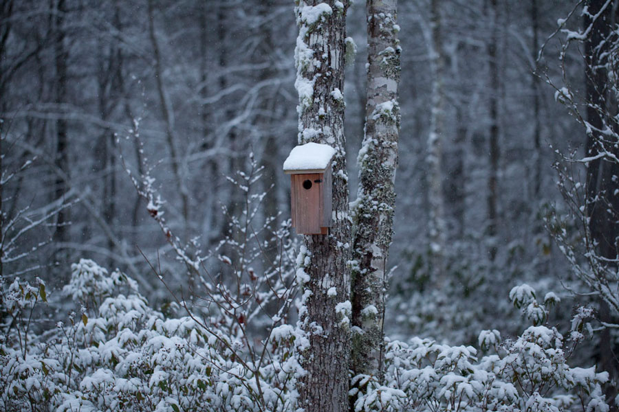 Winter Scene, Sapphire, NC